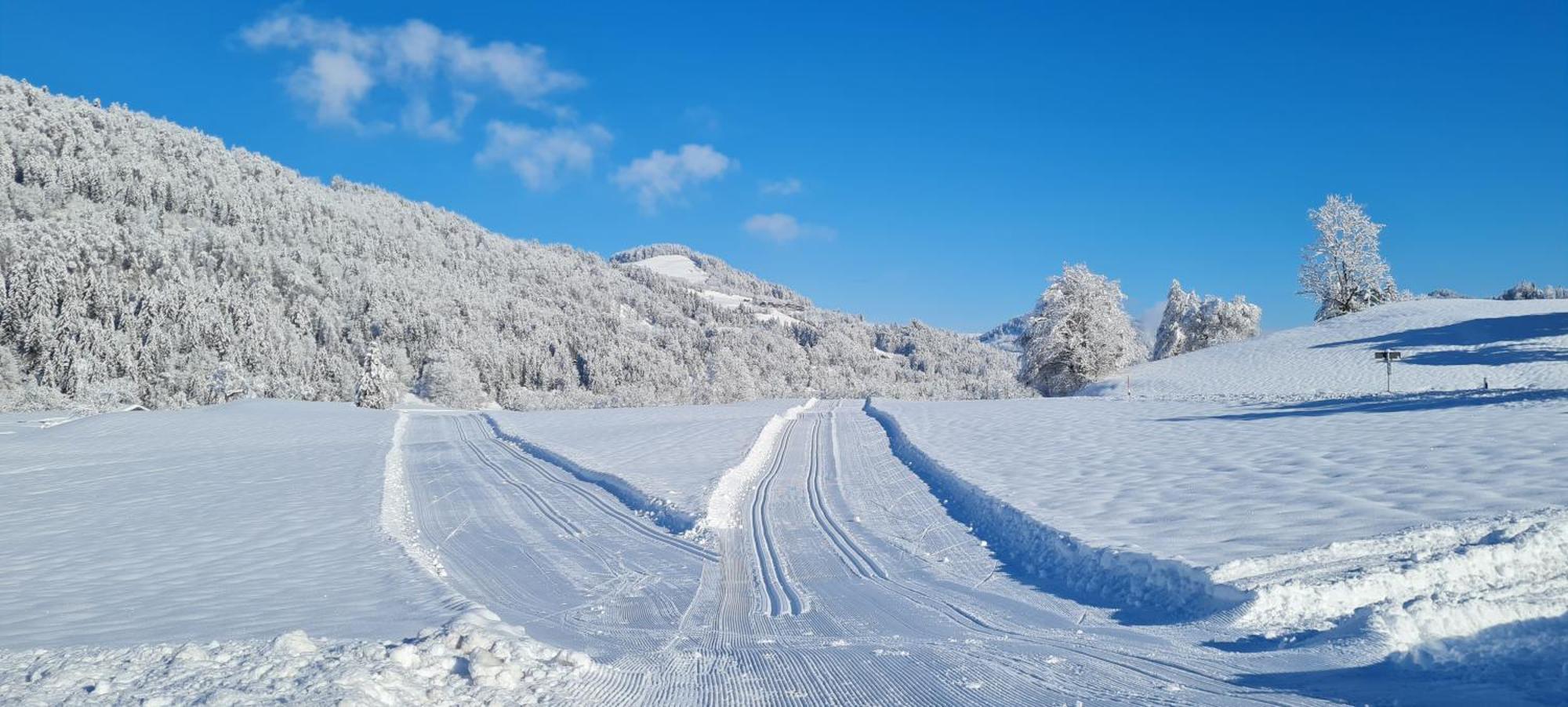 Landhaus Eibelesee โอเบอร์สเทาเฟิน ภายนอก รูปภาพ